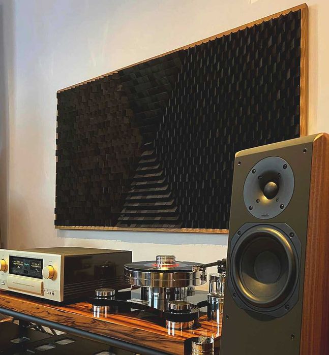 Panel Akustyczny, Dyfuzor, Rozproszenie Fal, Panel Dekoracyjny 50x100