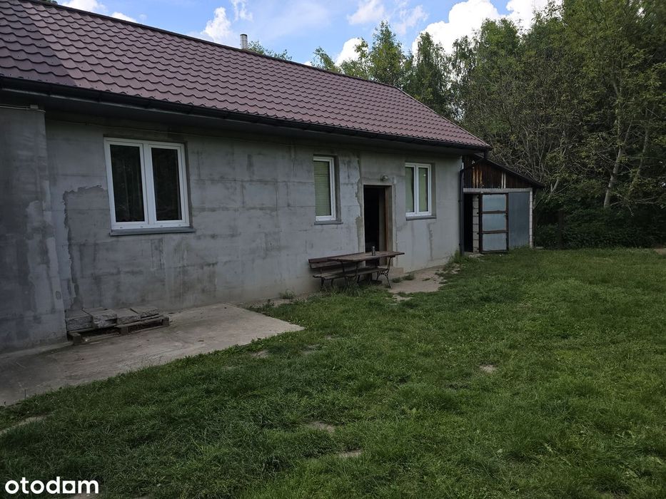 Sprzedam dom z działką w spokojnej okolicy na wsi 50579374trzy - Widok 6