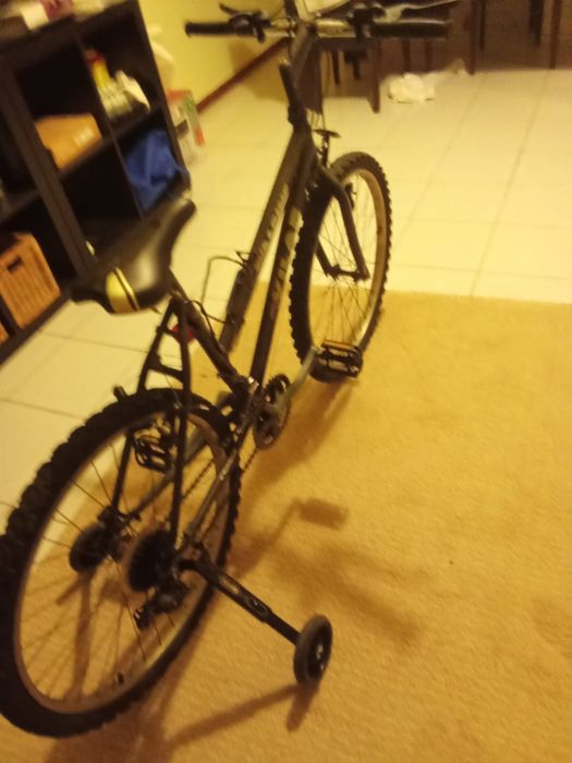 Bicicleta montanha roda 24