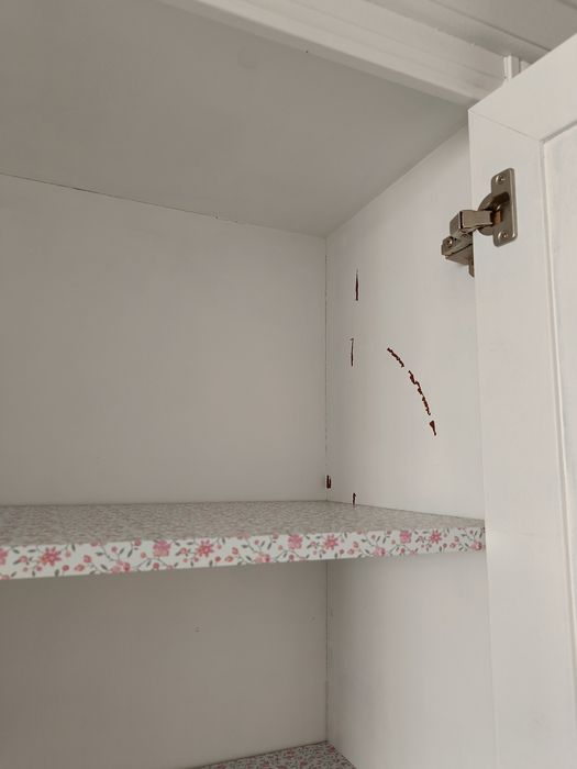 Szafa ubraniowa z dekorem