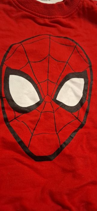 Bluza SpiderMan  Sinsay 104