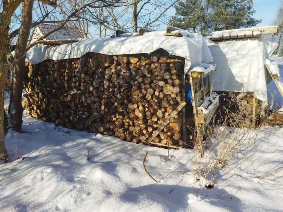 Drewno opałowe bukowe, układane 12,5m3.