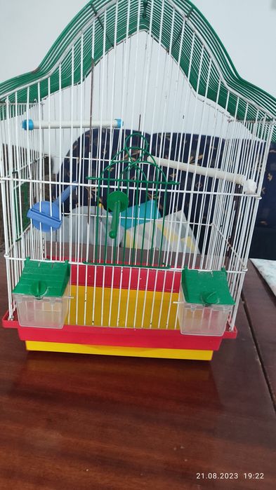 Клітка для папуг