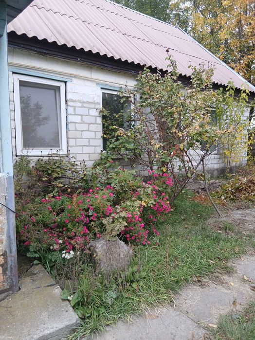 Продам будинок в с.Погреби