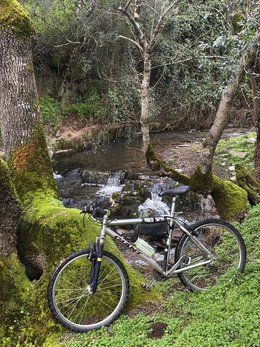 Bicicleta classica de BTT dos 90s - Giant Terrago
