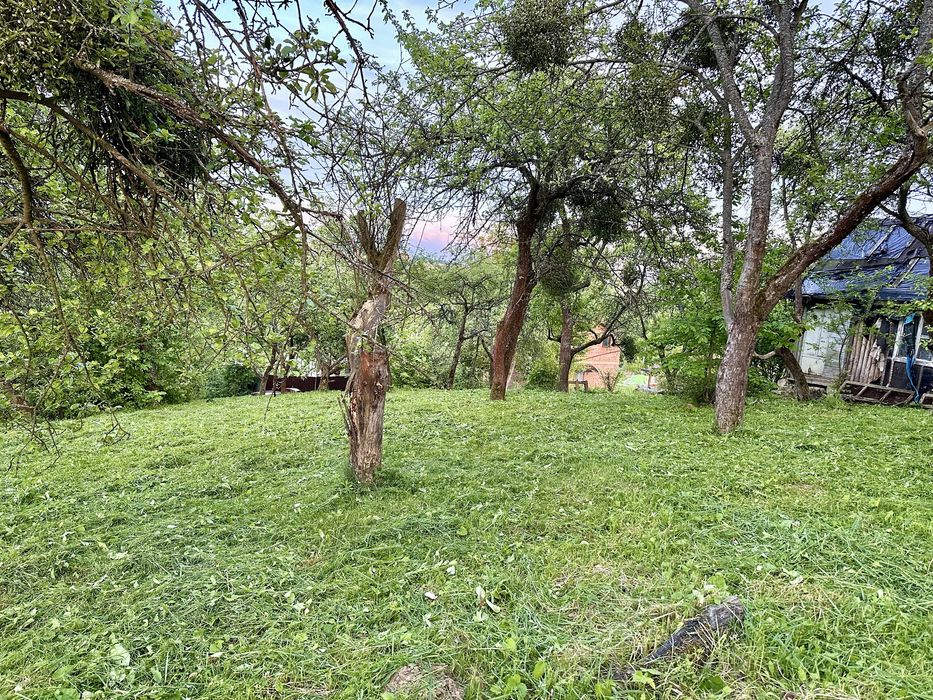 Косіння трави. Покіс трави. Якісно, швидко, по доступних цінах.