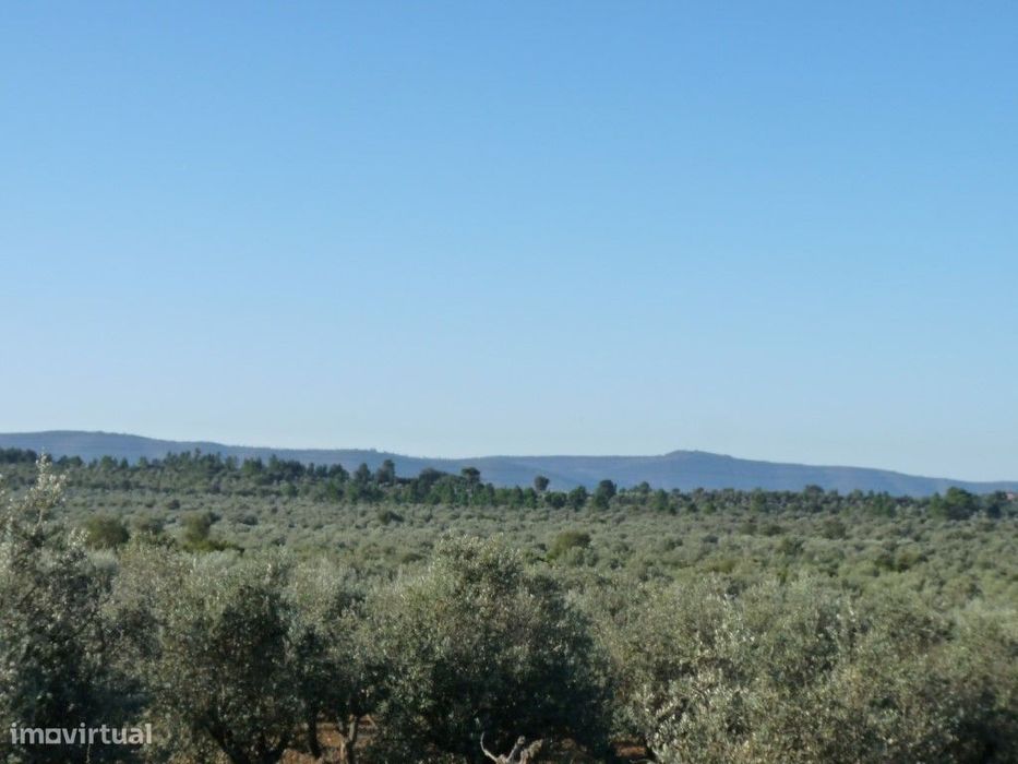 Terreno, 5.5 hectares, PIP aprovado com possibilidade construção ho...