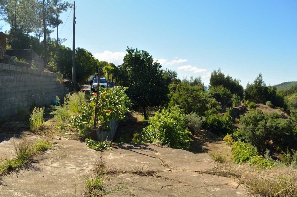 Casa antiga e terreno