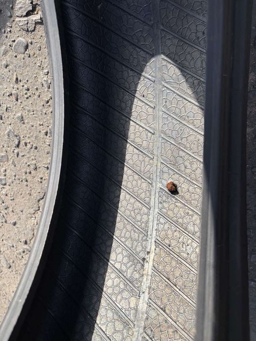 Шини 195/55 R20 пара Hankook зима  6,3мм