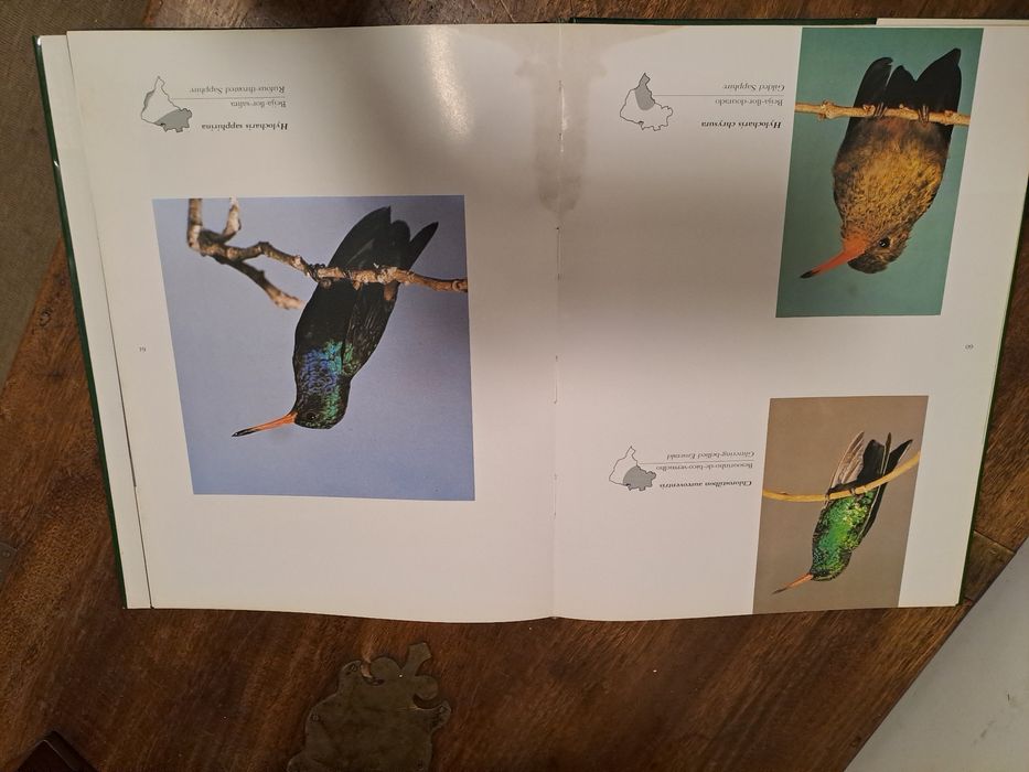 Aves do Brasil, de Helmut Sick