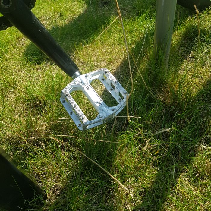 Rower dirt  ns movement 3