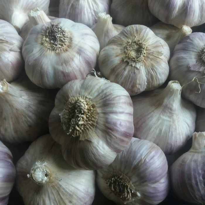 Fermentowany Czarny Czosnek