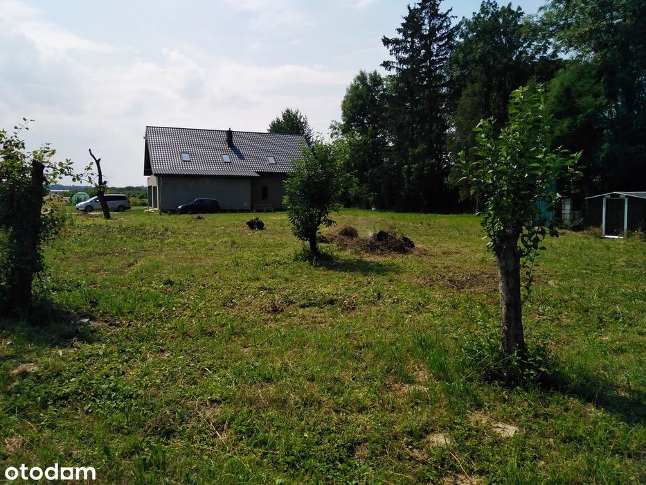 Działka 15,4 ar Ludwików (bez pośredników) - Widok 3