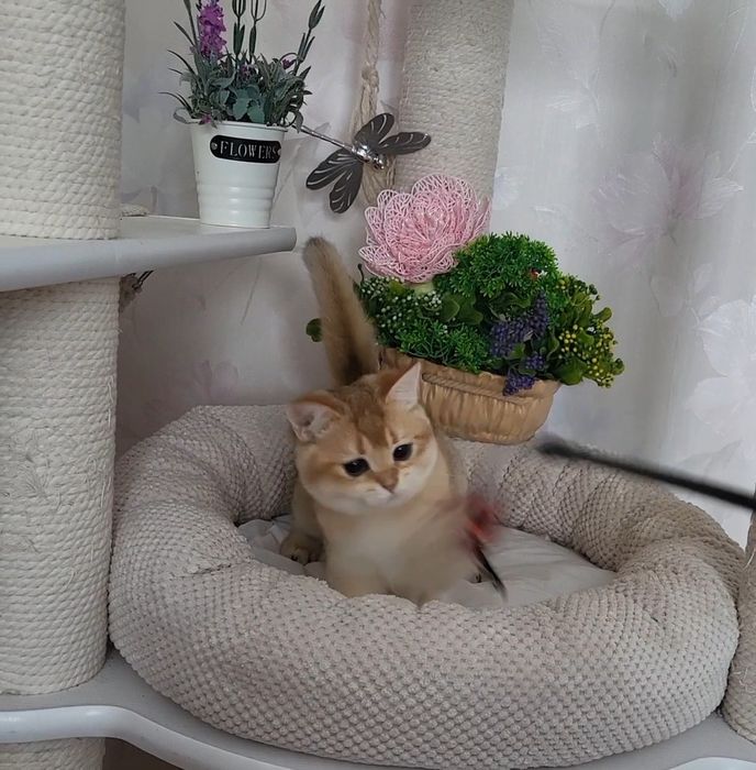 Очень целовательная девочка!