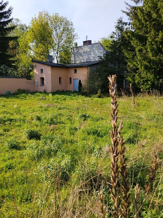 Nieruchomości działka - Widok 3