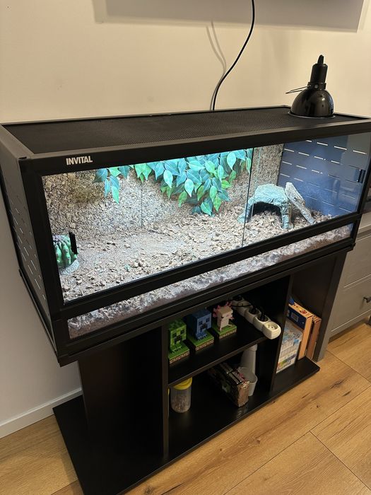 Terarium + szafka 40 cm x 100 cm
