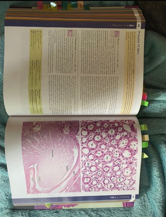 Livro Histologia Medicina