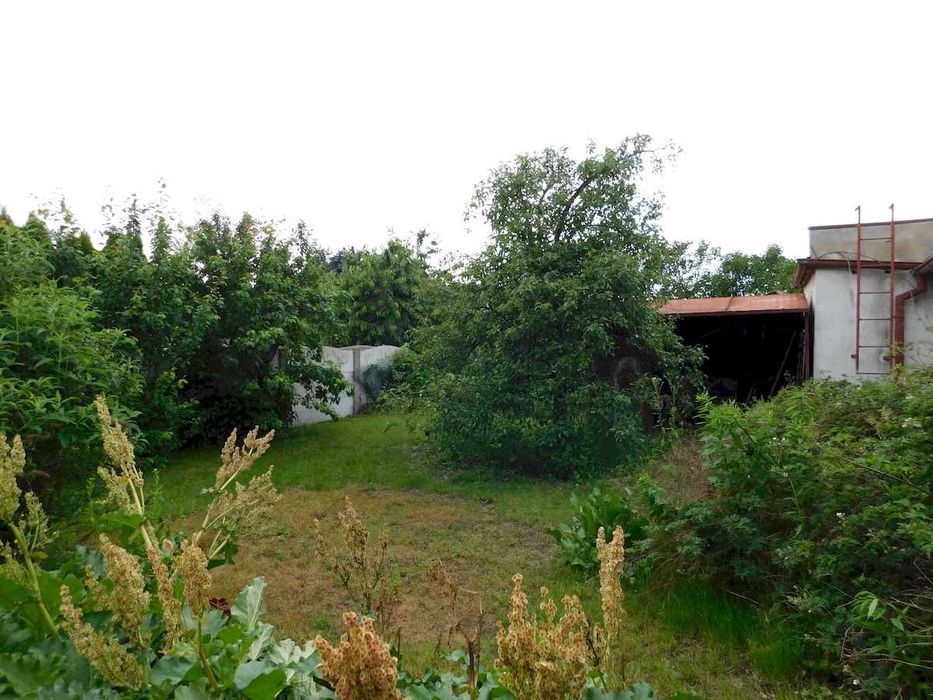 Dom wolnostojący  do wynajęcia Szamotuły ul. Zielona - Widok 2