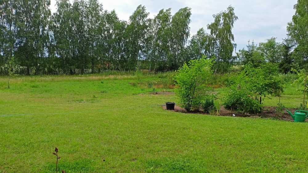 Duża działka blisko jezior | 35 km od Gdańska | 160 zł/m² | WZ + media + ogród, sad + zagajnik - Widok 4