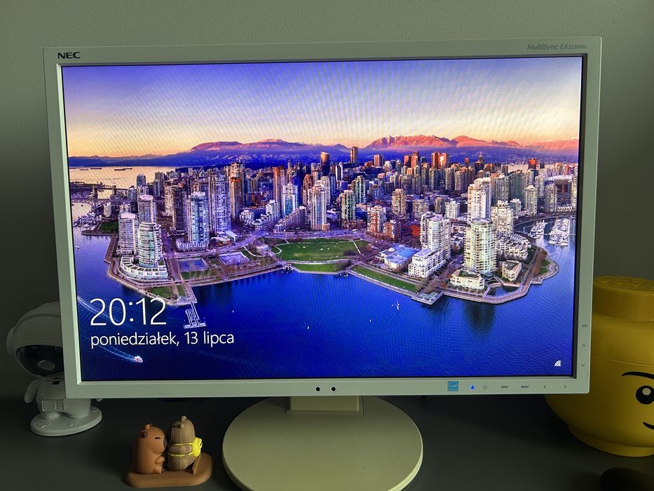 Monitor LED  NEC