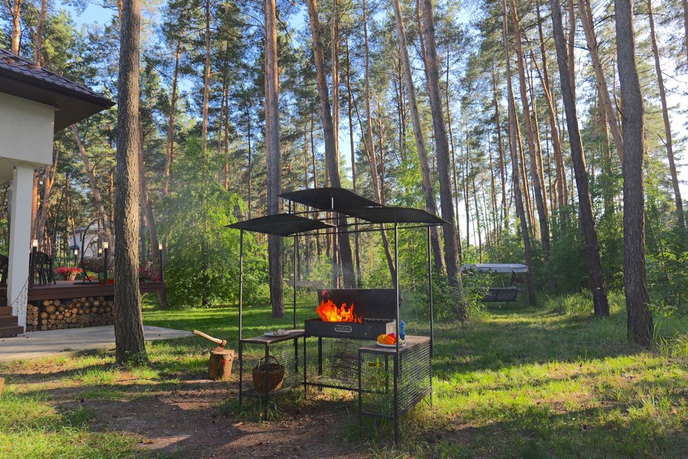 Будинок під Києвом подобово у сосновому лісі