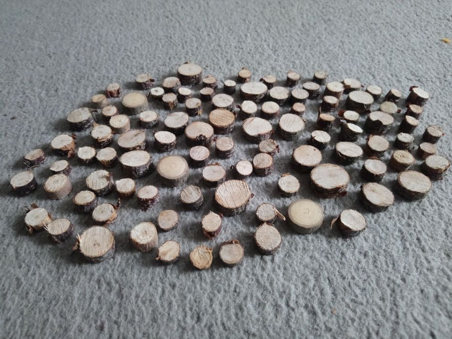 Plastry drewniane 100szt