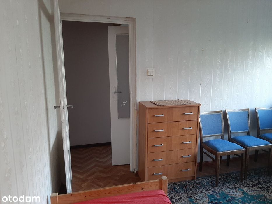 Sprzedam udział 1/2 w lokalu M3 Teofilów Rojna