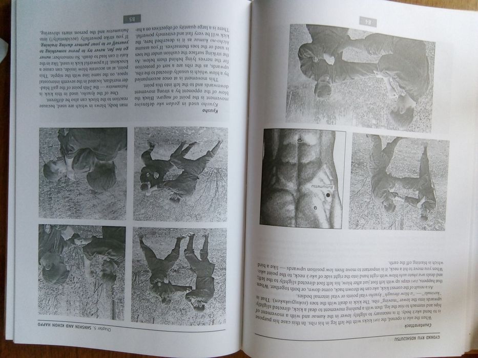 Момот В.В. Гекко рю косидзюцу.  На английском языке