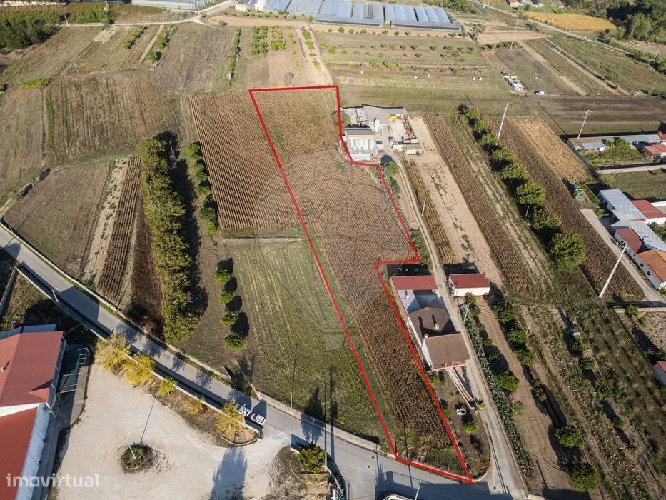 Terreno  para venda — Souto Da Carpalhosa E Ortigosa, Leiria