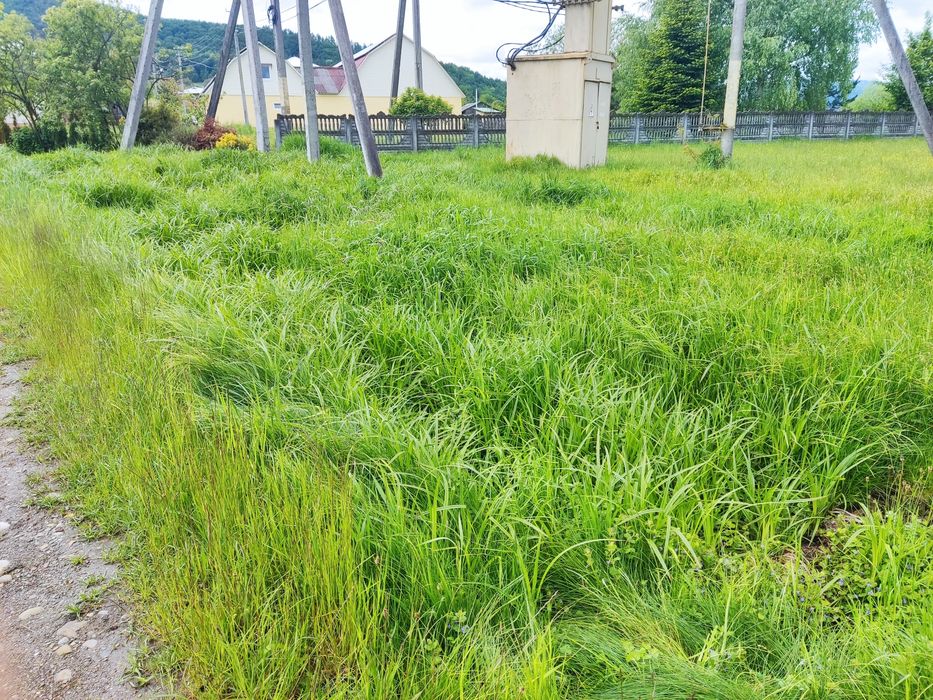 Продам земельну ділянку