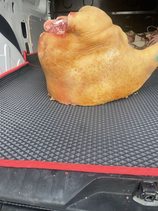 Свіже Сало ,Мясо