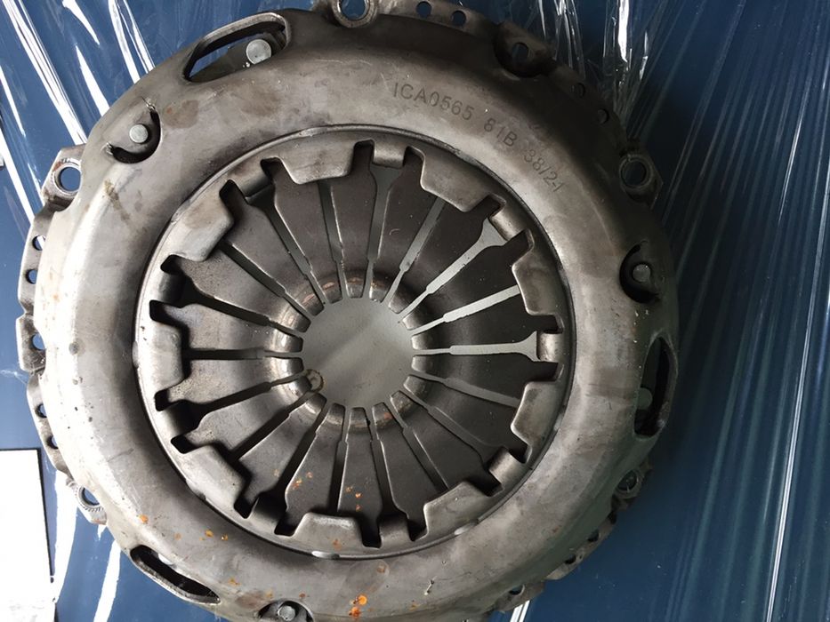 Щеплення форд