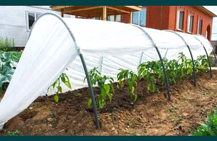 Парник Агроволокна 6м 8м 5м 4м 3м 60г Теплица Теплиця Спанбонд рассада