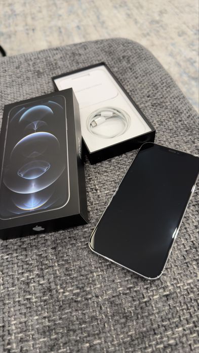 iPhone 12 Pro Max, Silver, 256 GB