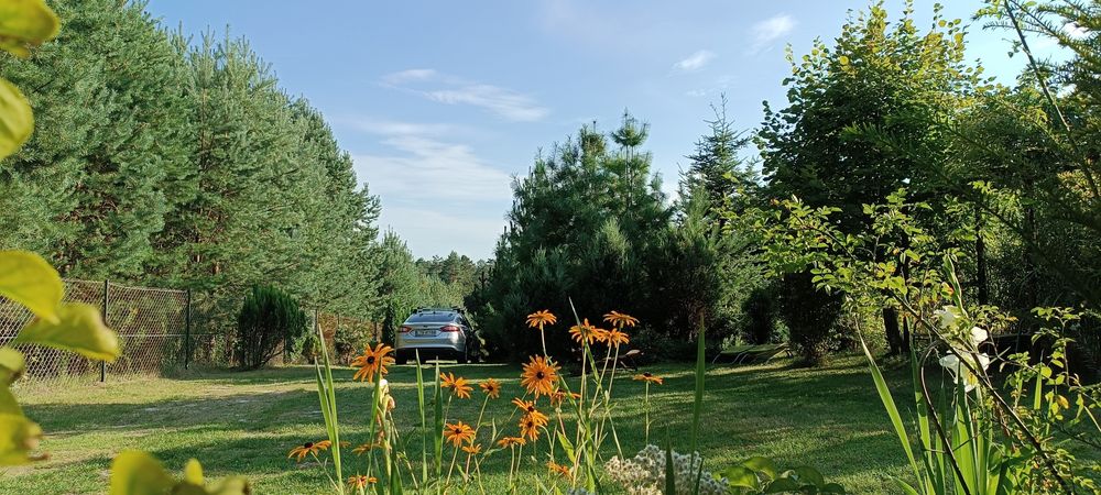 Domek przy lesie Roztocze na wyłączność z dala od sąsi