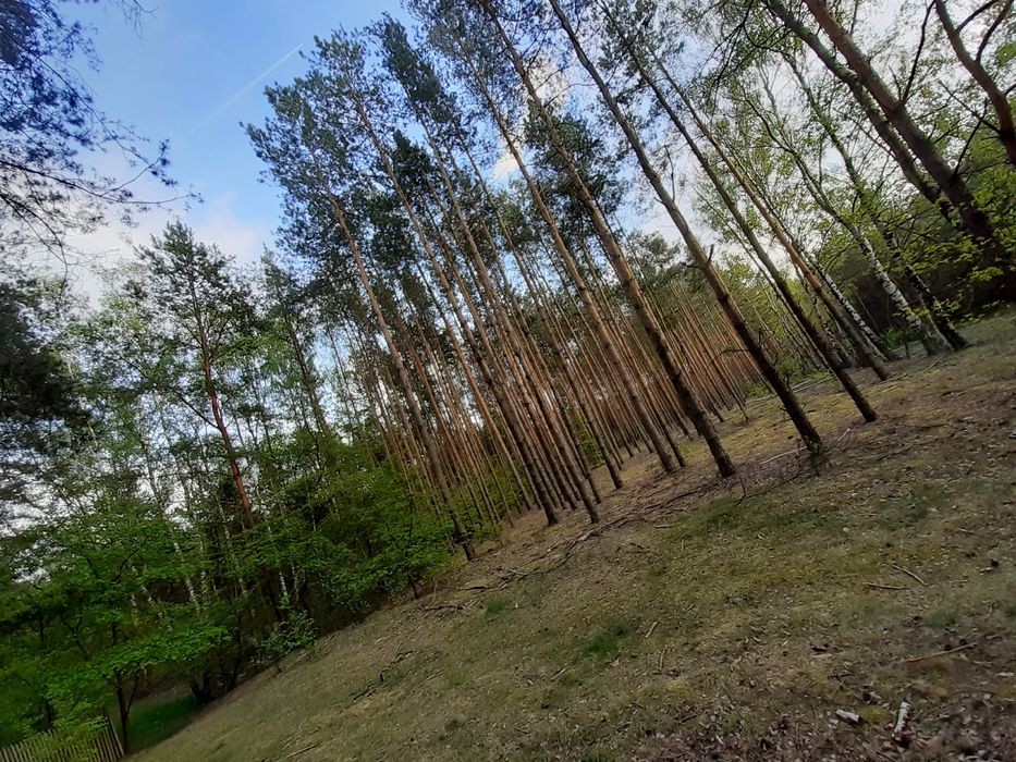 Sprzedam działkę rekreacyjną