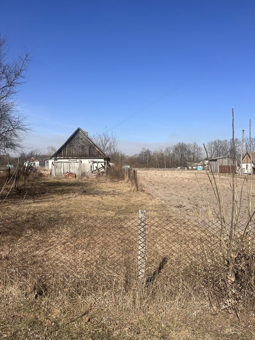 Земельна ділянка в с. Дубовець з призначенням під будівництво