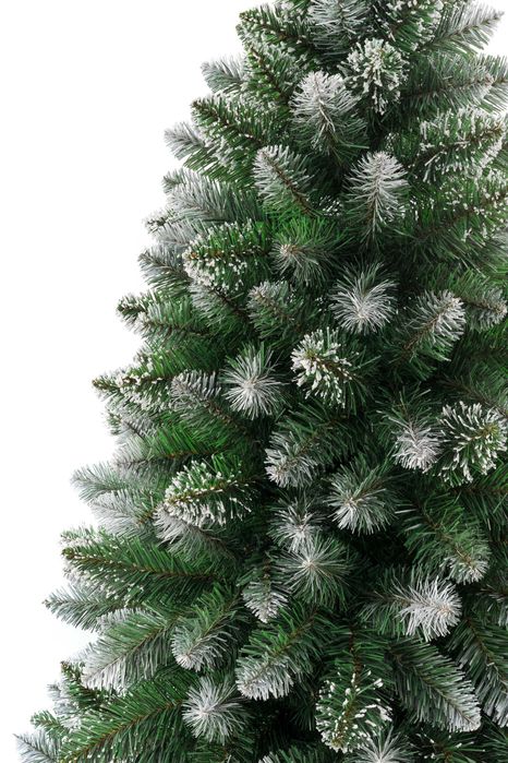 Sosna Diamentowa 100cm - model na 2025 rok - producent