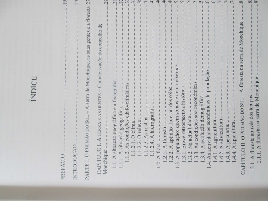 Pulmão do Sul a Verde e a Fogo, de Ana Maria Nunes