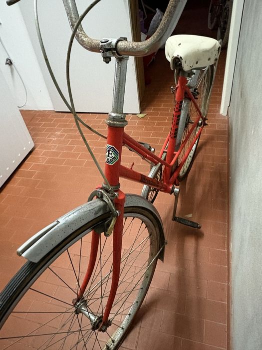 Bicilceta Pasteleira mulher