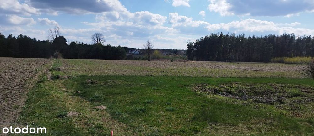 Działka budowlana w zielonej okolicy