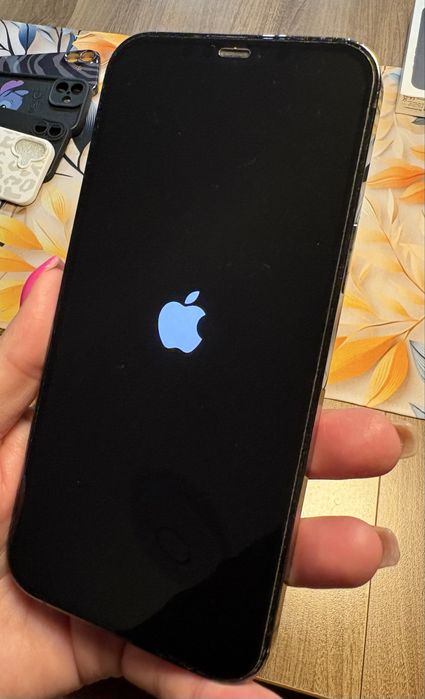 Iphone 12 pro max