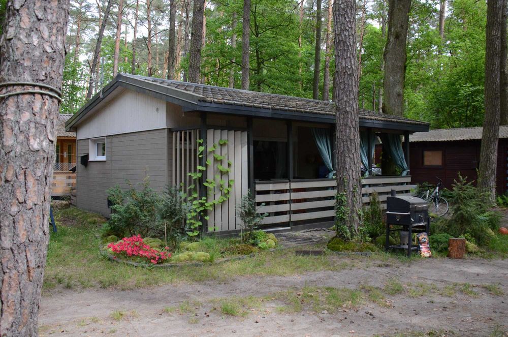 Domek 4 os. w lesie nad jeziorem k. Płocka (Grabina)