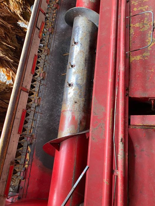 Мойсей фергісон.