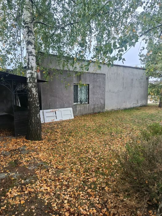 Працюючий бізнес Кузня