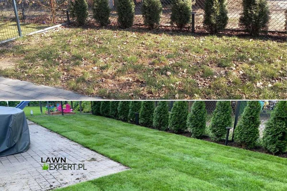 Zakładanie trawników, ogrodów, nawodnienie, trawnik z rolki, prace zie