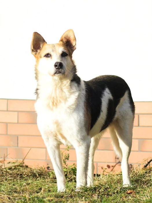 Jacky czeka na Ciebie