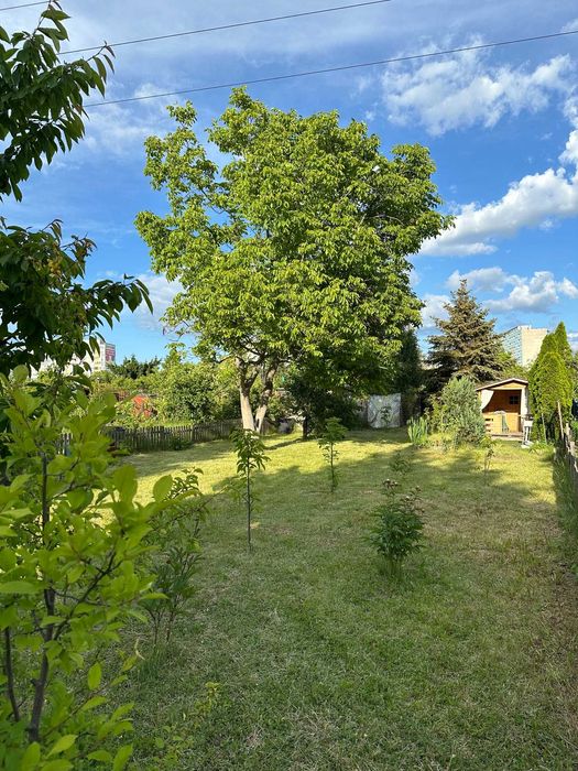 Ogród działkowy ROD ,, Bajki „ 490m2 ul. Borowska