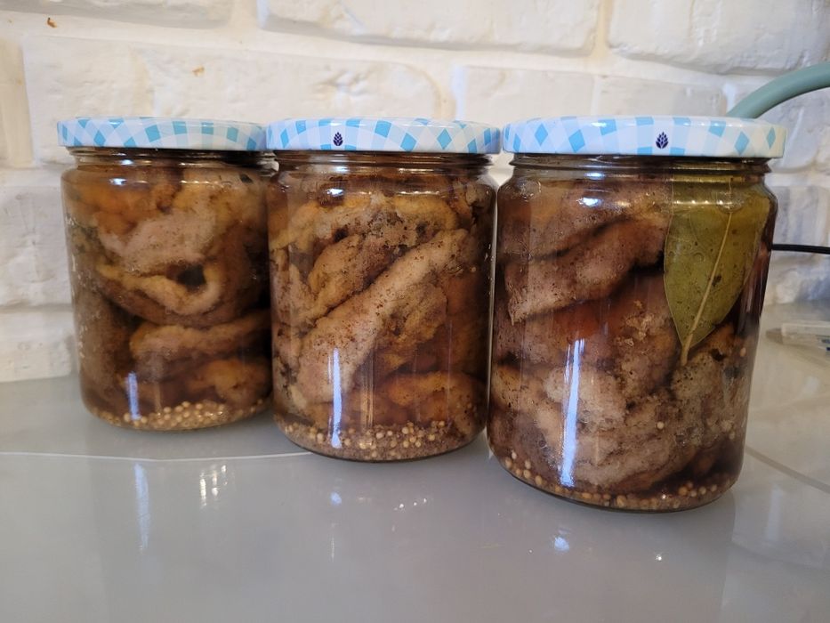 Kania kanie Rydze podgrzybki prawdziwki borowik opieńki gąski kozaki m