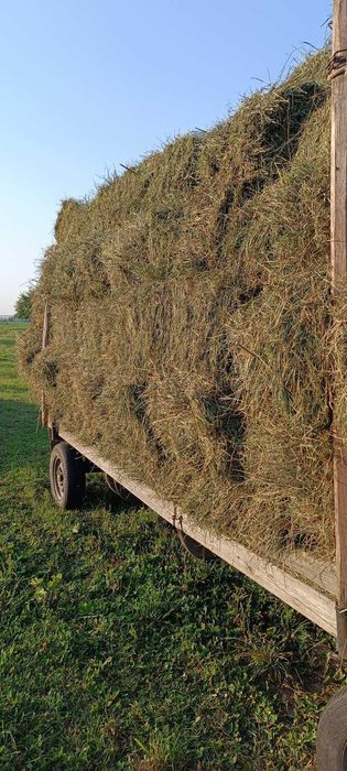 Сіно в тюках ; Отава